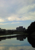 20100201_0040.jpg