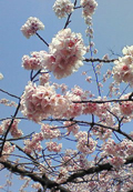 20100324_0054.jpg