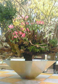 20100324_0061.jpg