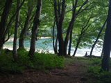 20100518_8080249.jpg