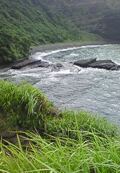 20100816_0885.jpg