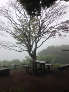 鹿野山：霧