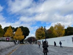 秋の上野公園